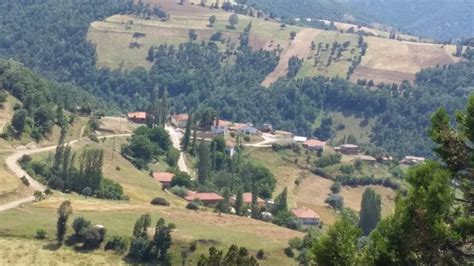 amasya abacı köyü